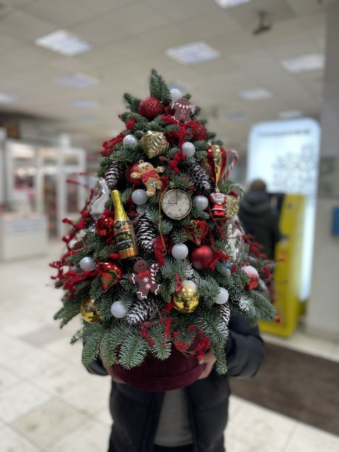 Ель «Бархат»