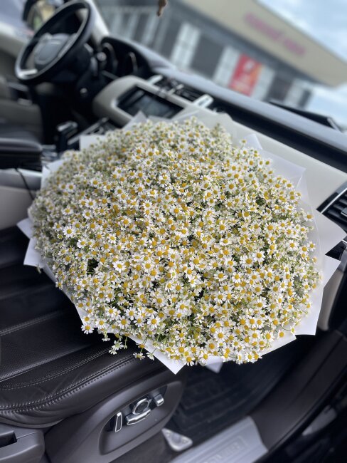 Букет ромашек Камилла
