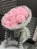 Розовые хризантемы из сада